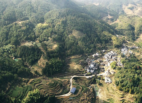 新春走基層丨小山村里的“項目熱”